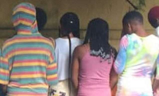 image for Dozens of teenage girls rescued from Nigerian 'baby factory' where they were used as sex slaves