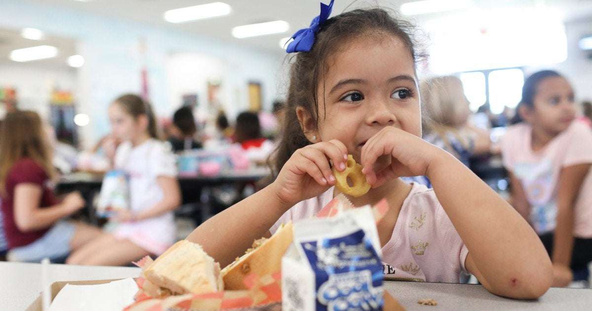 image for Free school lunches for all set to end, creating ‘perfect storm’ amid high inflation