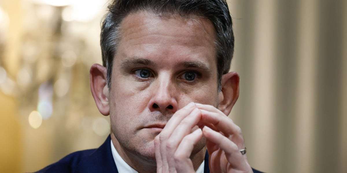 image for GOP Rep. Adam Kinzinger: 'My party has utterly failed the American people at truth'