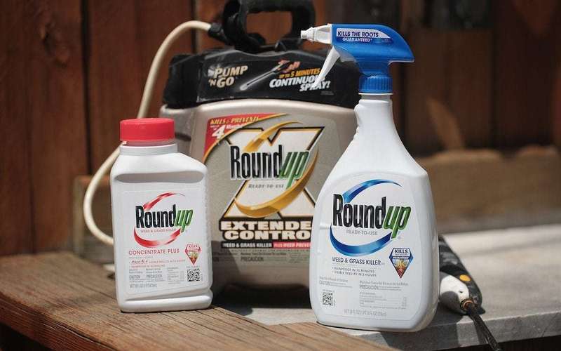 image for Bayer Appeal to Dismiss Roundup Weedkiller Lawsuits Rejected by U.S. Supreme Court