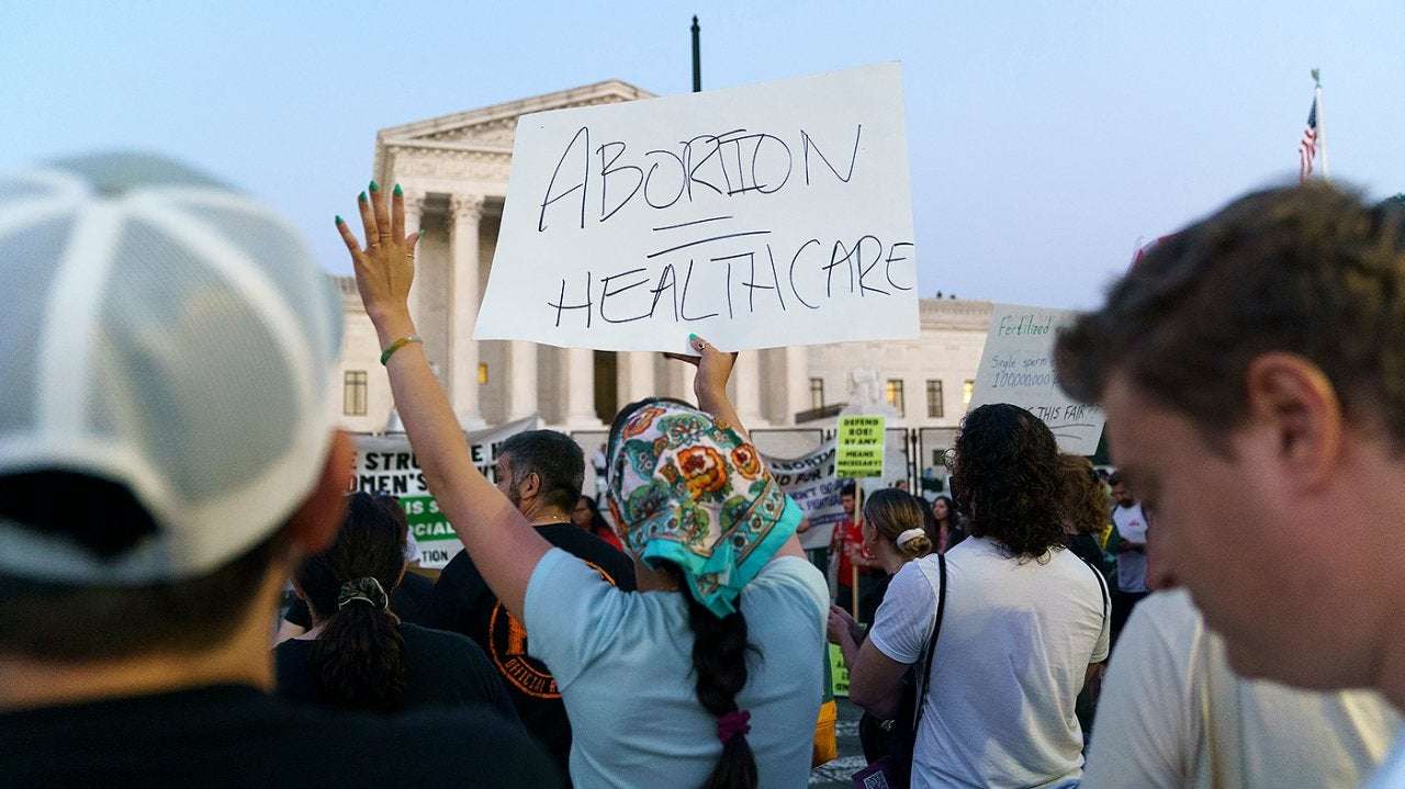image for Democrats more likely to vote in midterms after abortion ruling: poll