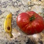 image for [OC] Grew a tomato. Banana for scale.