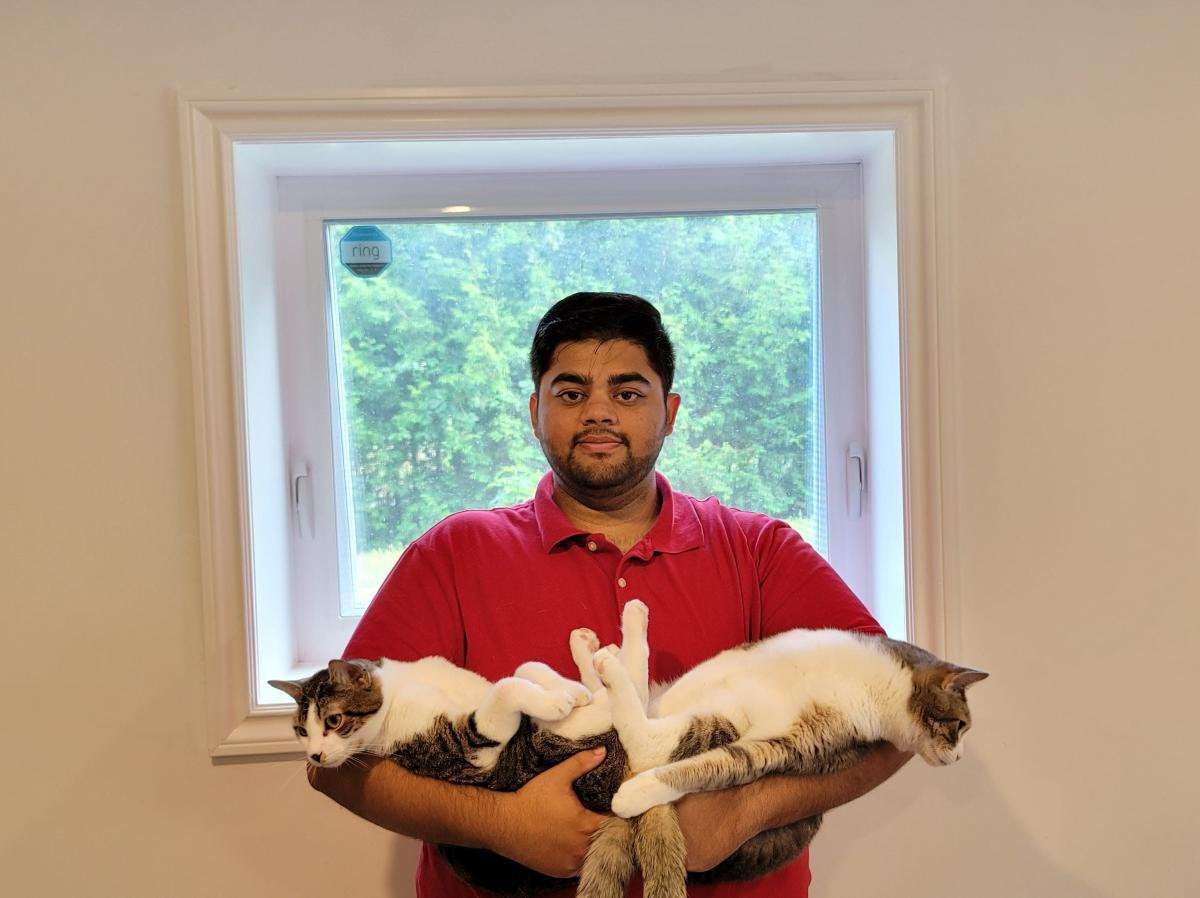 image for Air Canada sent a passenger's cats from Toronto to San Francisco without him – and then told him to go collect them