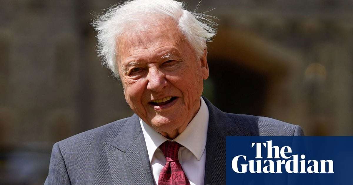 image for Fossil of ‘earliest animal predator’ is named after David Attenborough