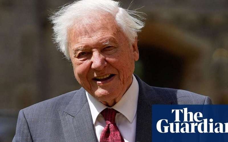 image for Fossil of ‘earliest animal predator’ is named after David Attenborough