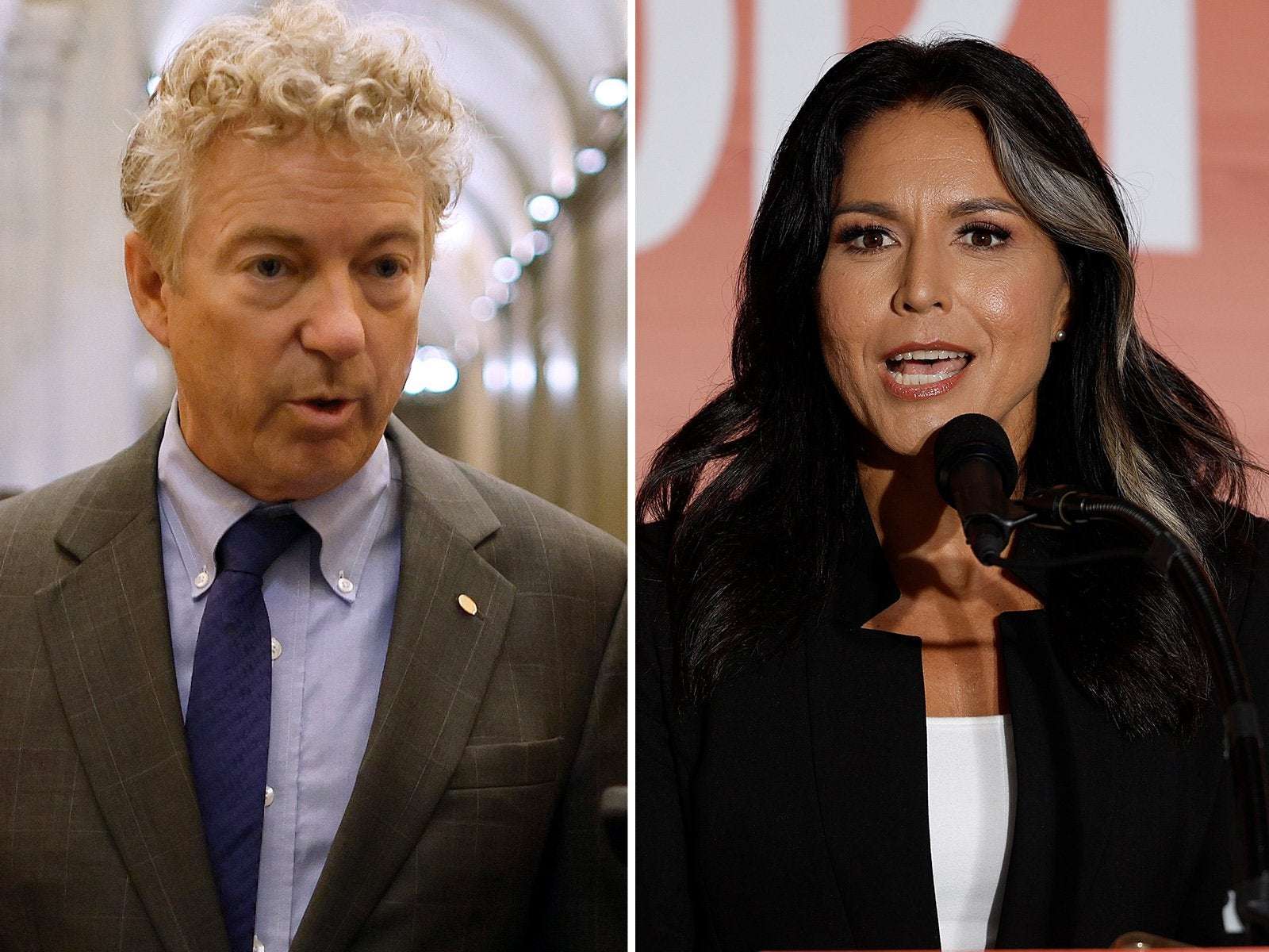 image for Tulsi Gabbard, Rand Paul Placed on List of Russian Propagandists by Ukraine