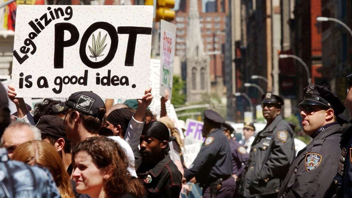 image for Senate Democrats introduced a cannabis legalization bill. Congress should pass it.