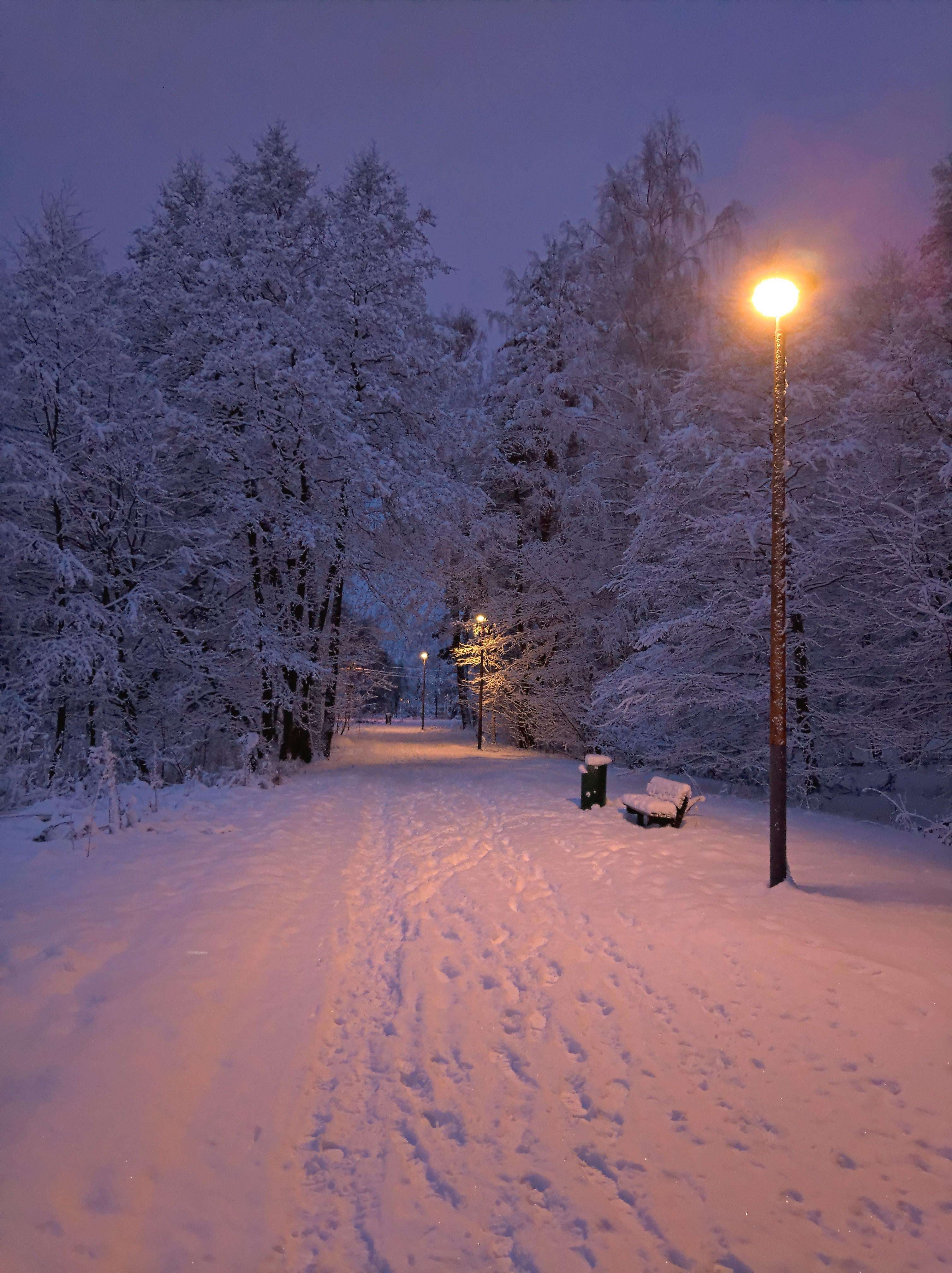 image showing Winter morning in Espoo, Finland [OC]