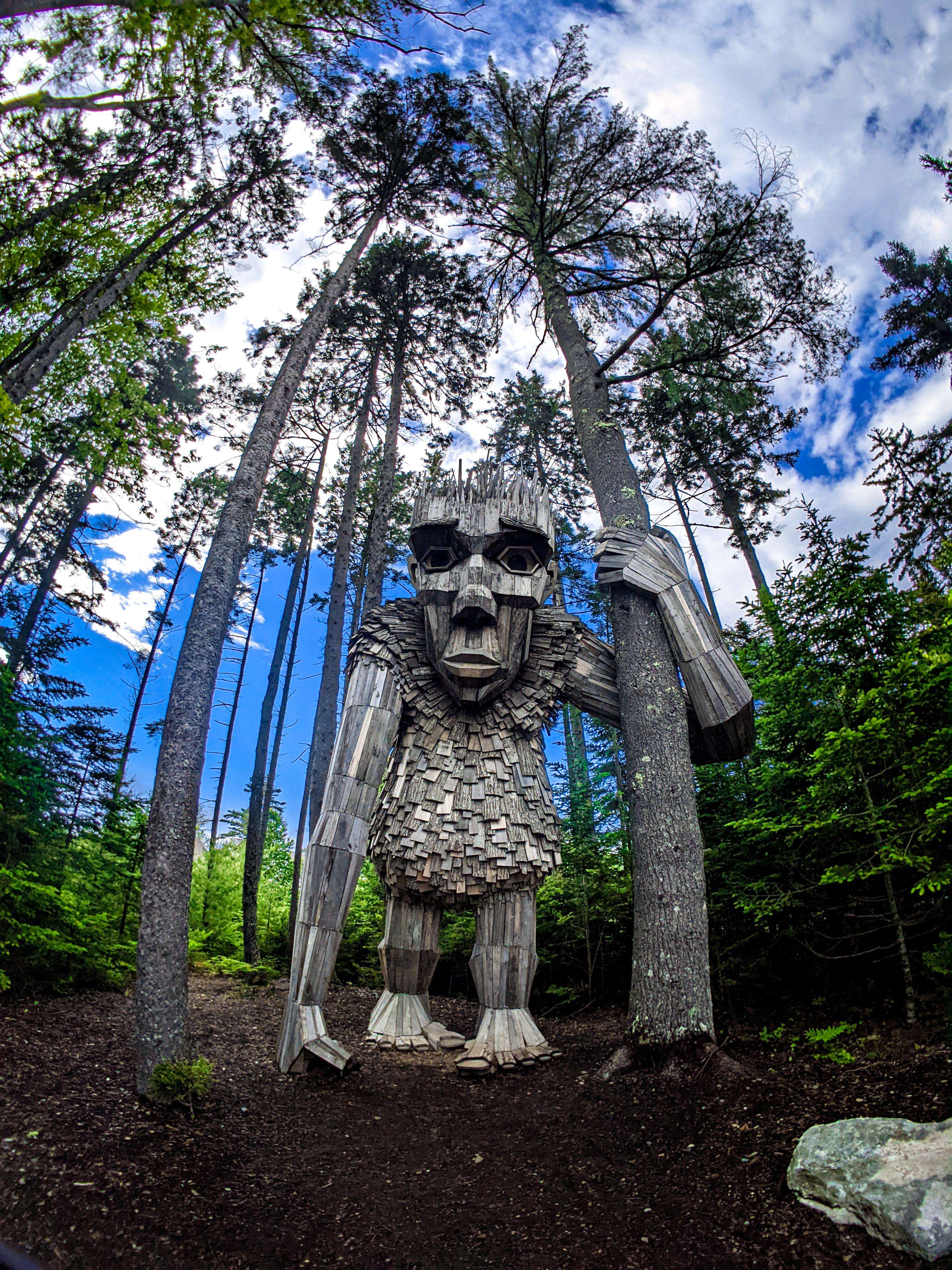 image showing Massive Troll in Maine [OC]