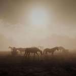 image for ITAP of some horses in the morning mist.