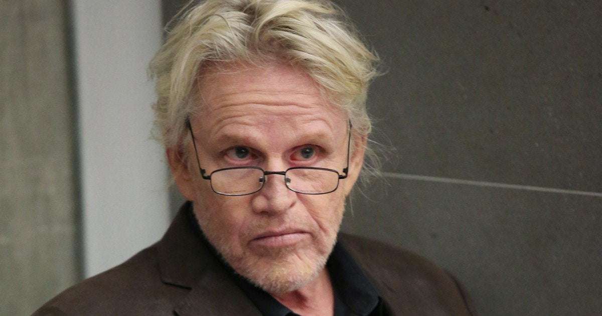 image for Gary Busey charged with sex offenses at Monster Mania Convention in New Jersey