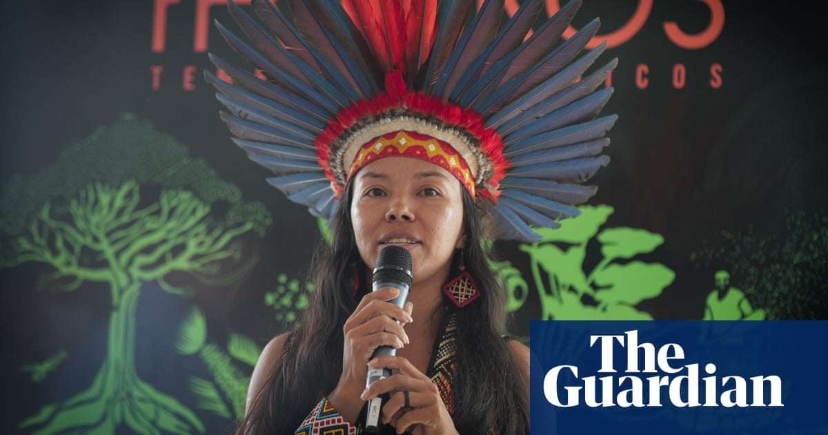 image for Record number of Indigenous candidates take part in Brazil elections