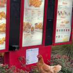 image for I’m at Popeye’s and I guess a chicken either escaped or is seeking revenge. [OC]