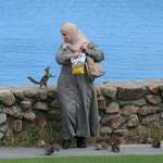 image for Woman feeding squirrels in Lovers Point Park, CA