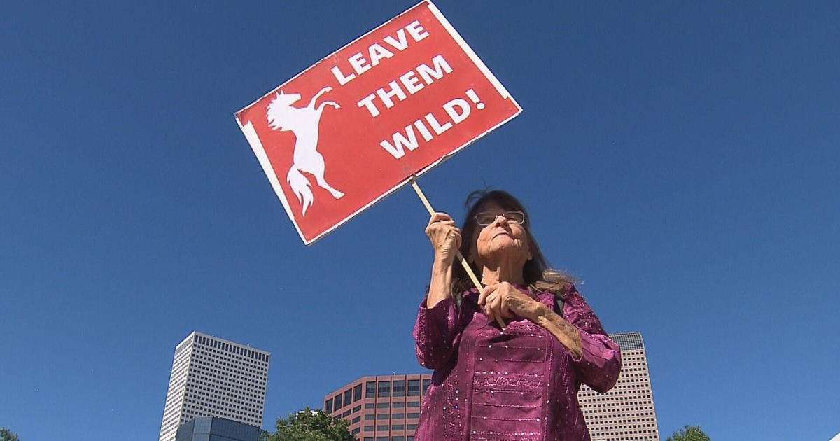 image for Wild horse advocates protest in favor of banning horse slaughter auctions in U.S.