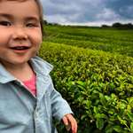 image for ITAP of my granddaughter in a green tea field on Jeju Island, South Korea