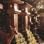 image for ITAP of a deer at a shrine in Japan