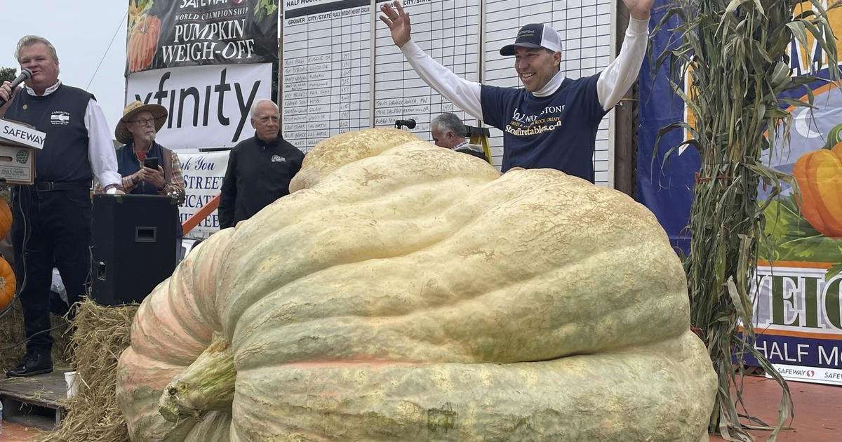 image for Massive 2,560-pound pumpkin raised by Minnesota horticulture teacher breaks U.S. record