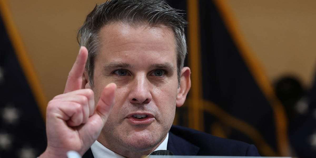 image for Rep. Adam Kinzinger says Trump is 'required by law' to testify before January 6 committee: 'He can ramble and push back all he wants'
