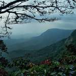 image for ITAP of Agumbe, Western ghats, South India