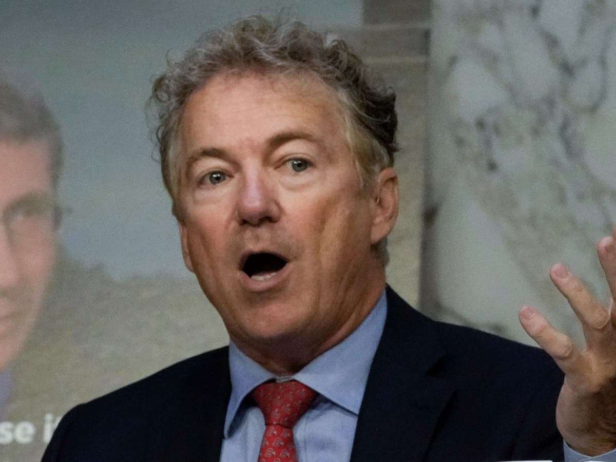 image for Rand Paul under fire for attacking Nancy Pelosi’s daughter in tweet hours after father’s assault