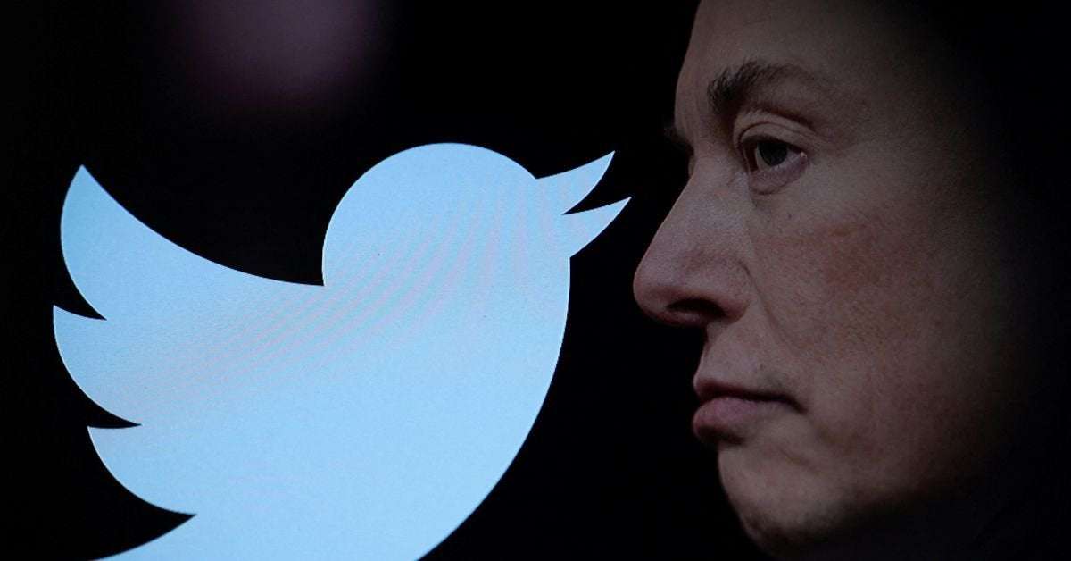 image for Musk begins his Twitter ownership with firings, declares the 'bird is freed'