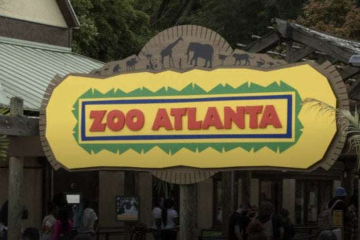image for Zoo Atlanta will allow people to carry guns after gun rights activist challenges