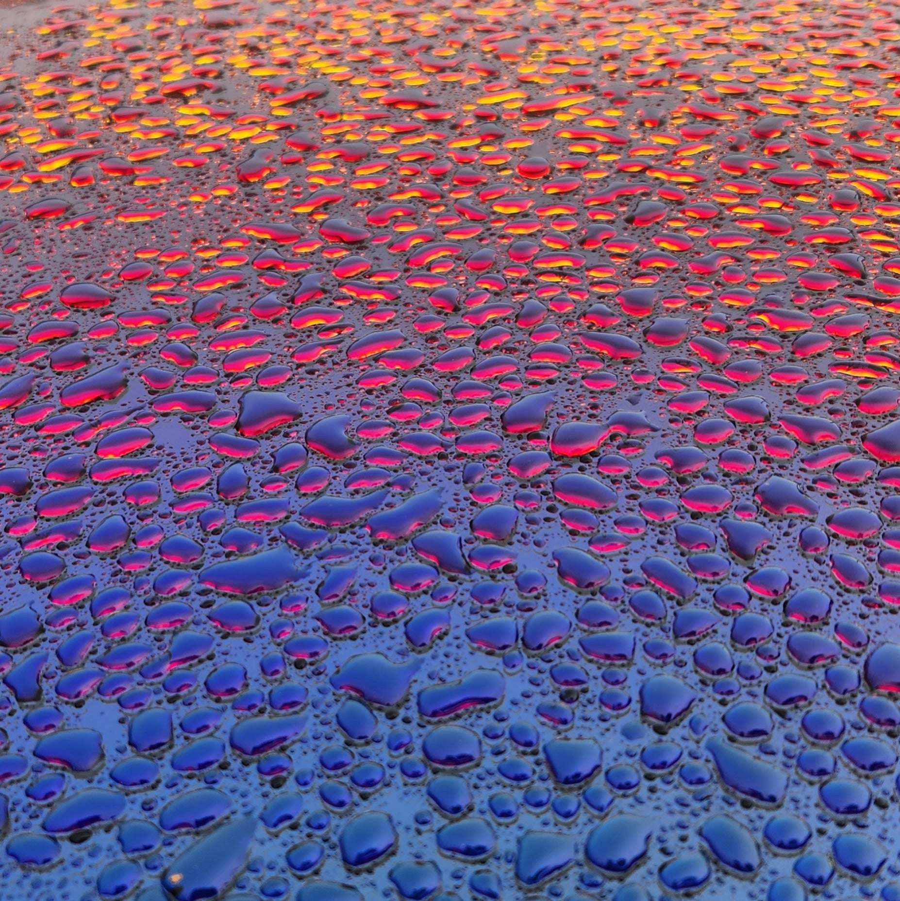 image showing ITAP of rain drops on top of a sunroof