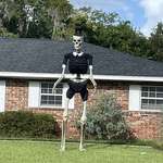 image for Neighbors said screw it. Halloween skeleton is now a pilgrim.