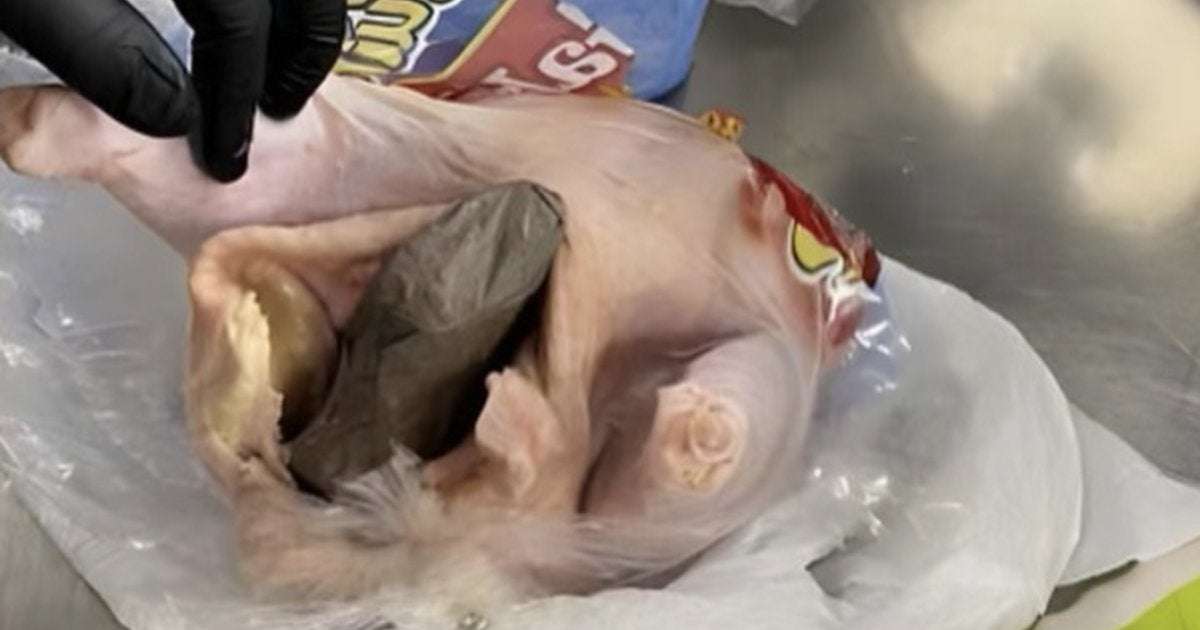 image for Florida traveler stuffed gun into a raw chicken and tried to bring it on the plane, TSA says