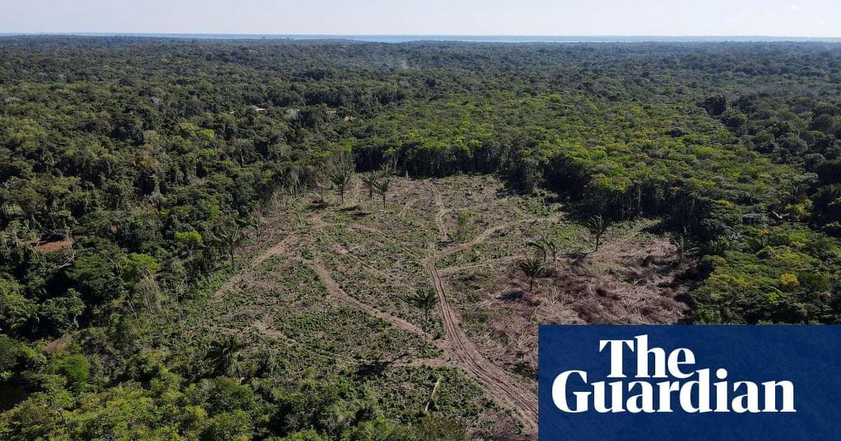 image for Brazil supreme court ruling to reactivate Amazon Fund gives hope in fight to save rainforest
