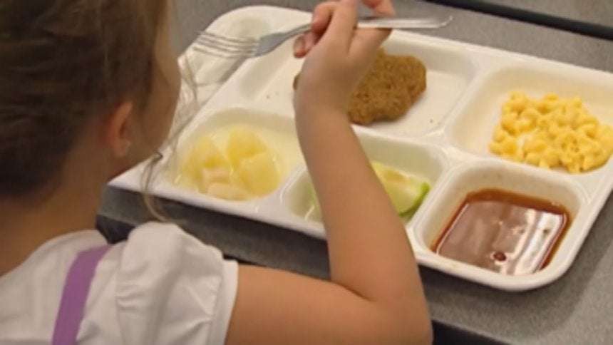 image for Colorado voters approve free school meals for K-12 students