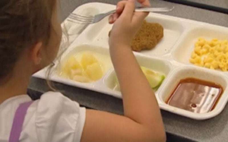 image for Colorado voters approve free school meals for K-12 students