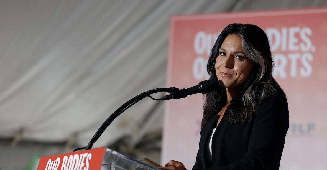 image for Nearly Every Republican Tulsi Gabbard Endorsed Lost the Election
