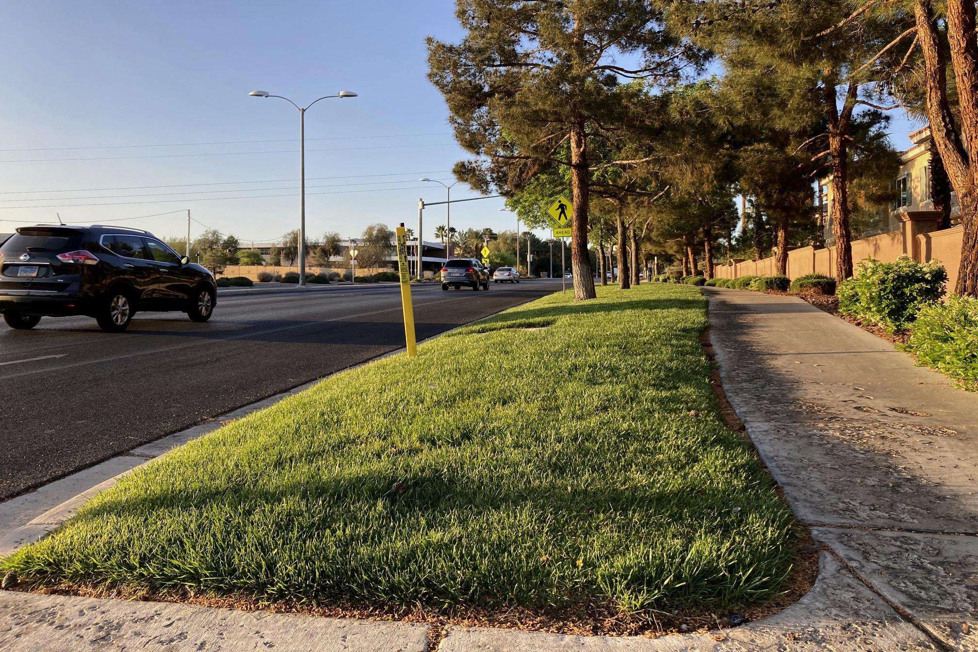 image for Western US cities to remove decorative grass amid drought