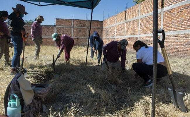 image for 53 Bags Of Human Remains Found In Mexico. Search Started Due To A Dog