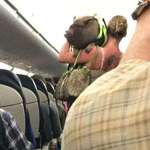 image for Emotional support pig booted off plane for being too disruptive