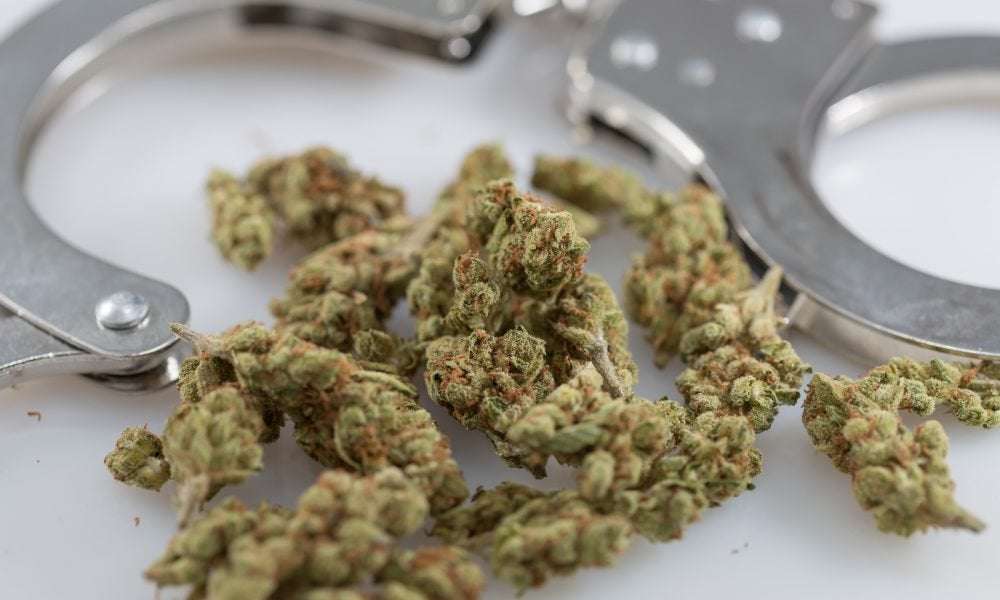 image for Oregon Governor Issues Marijuana Pardons For 45,000 People