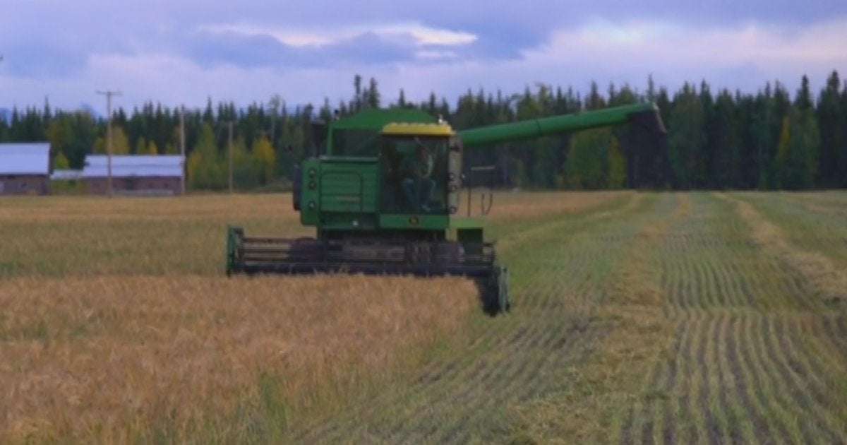 image for Alaska gambles on turning boreal forest into farmland