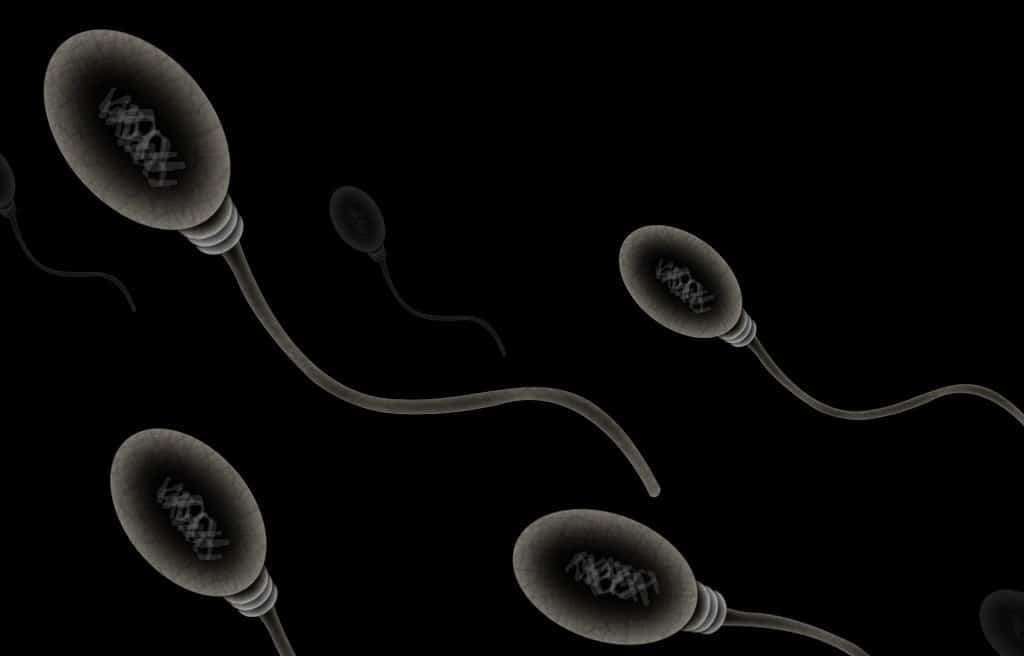 image for Sperm Counts Drop by 62% Worldwide