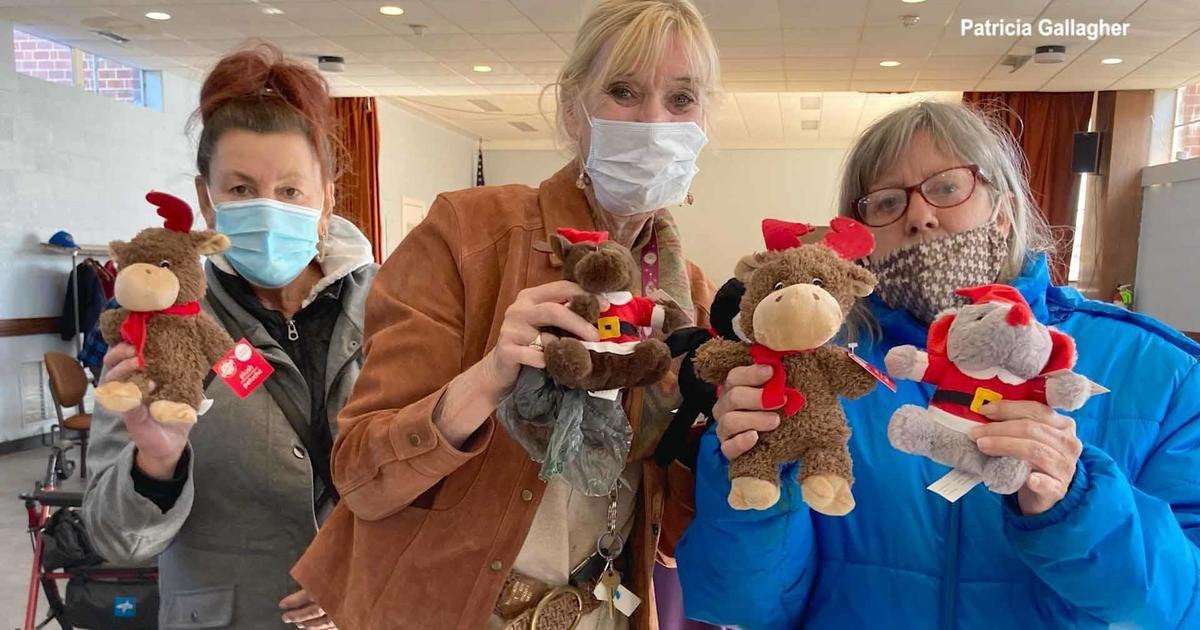 image for This woman collects thousands of stuffed animals and brings them to seniors who are in need of a Christmas gift