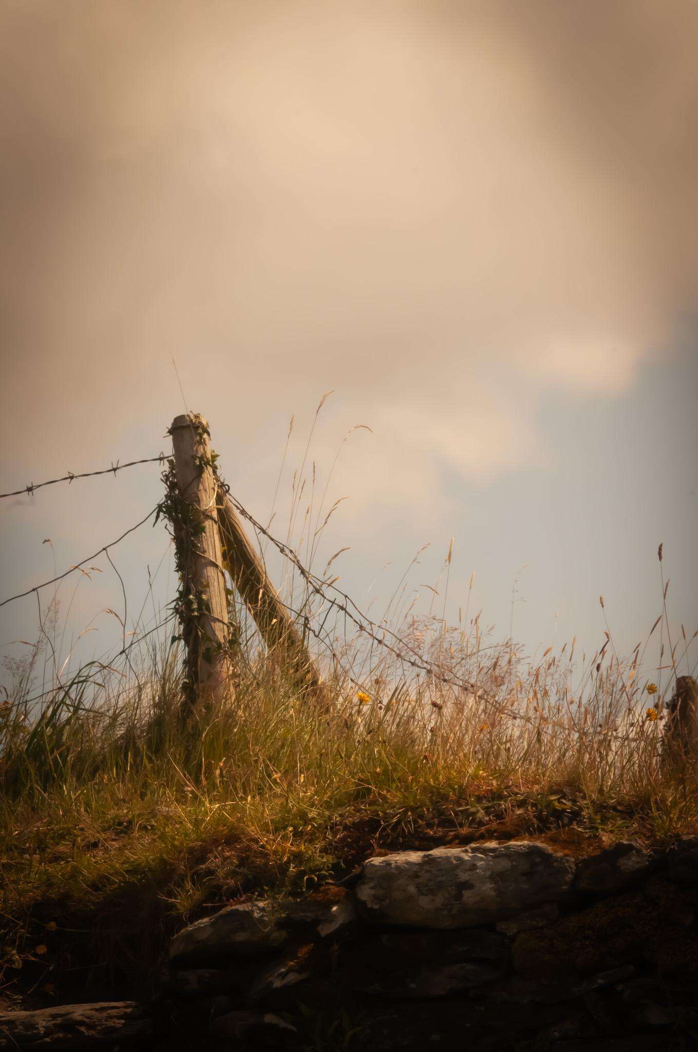 image showing ITAP of a fence post wrapped in barbed wire in Glendalough Ireland