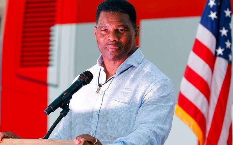 image for Georgia Republicans are losing faith in Herschel Walker as his runoff election concludes, report says