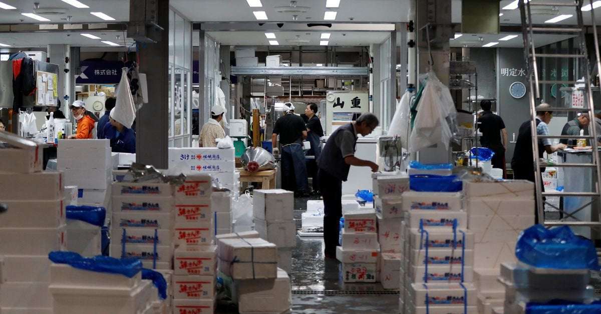 image for Japan's wholesale inflation near steady at 9.3% as commodity prices ease