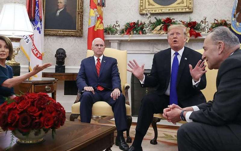image for Pelosi knew how to deal with Trump because she raised 5 kids and the ex-president 'was a child,' Schumer said