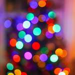 image for ITAP of my Christmas tree out of focus