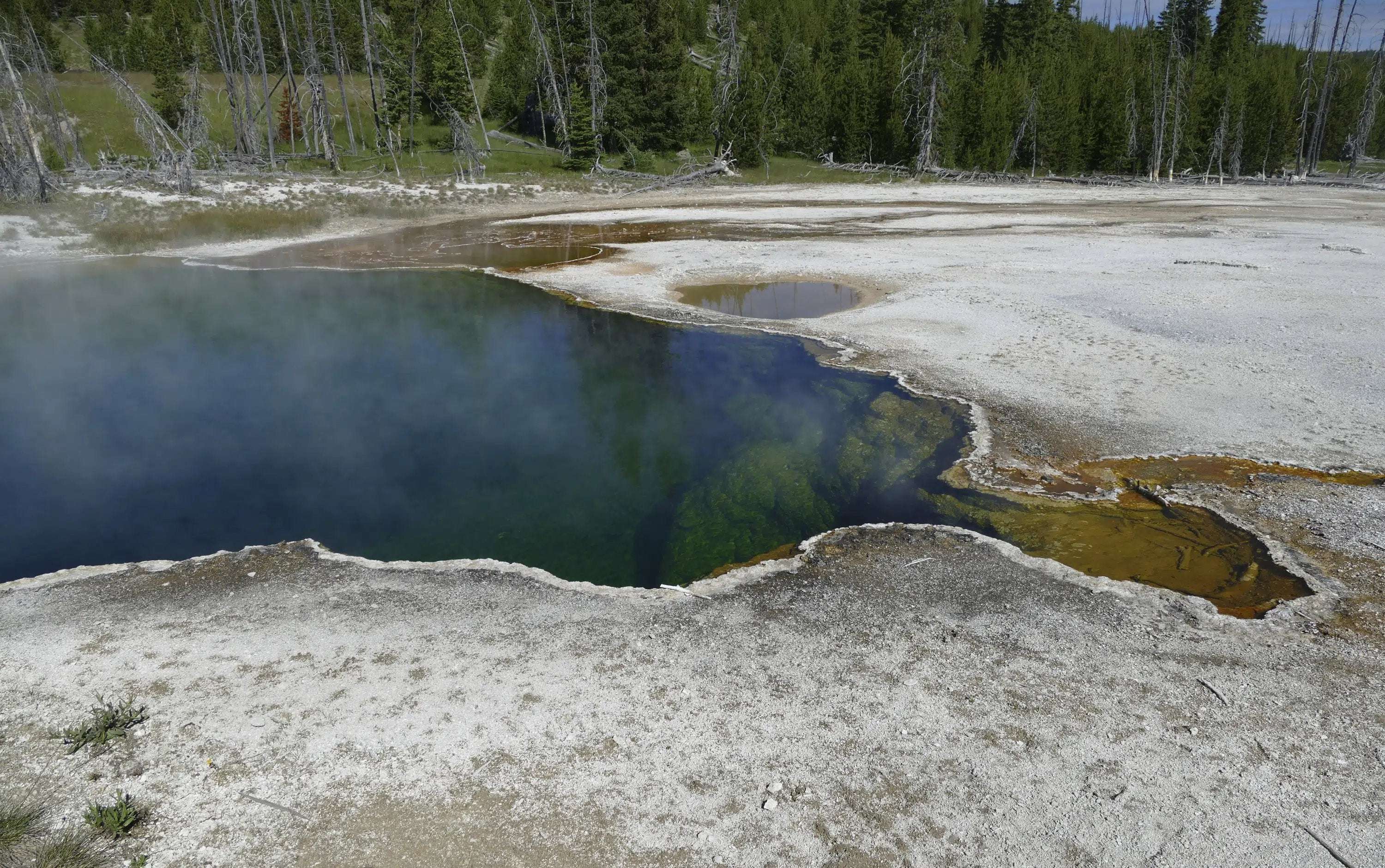 image for Foot found in Yellowstone hot pool, but case is still murky