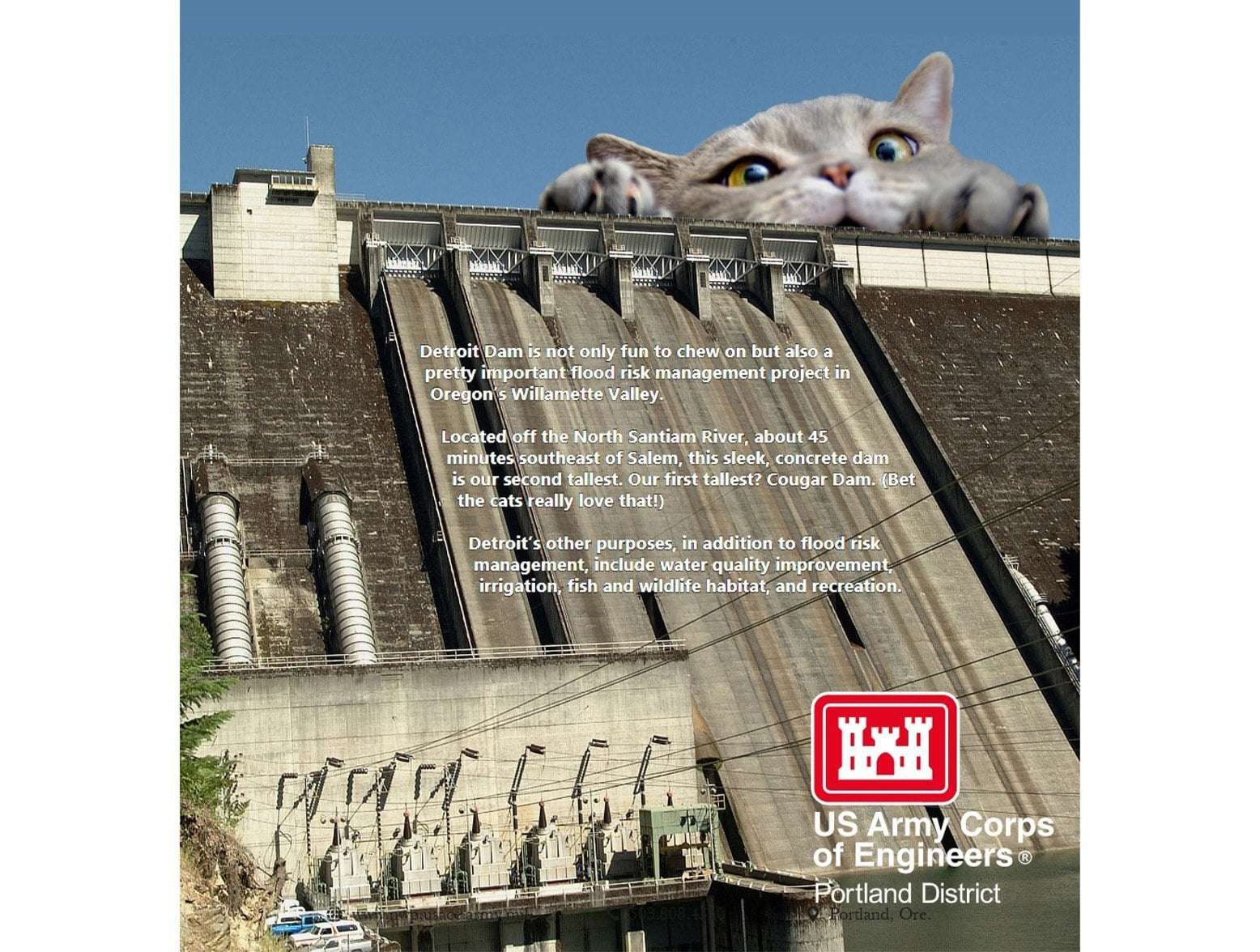 image for The Army Corps Of Engineers Has Released a 2023 Calendar Of Giant Cats Attacking Infrastructure