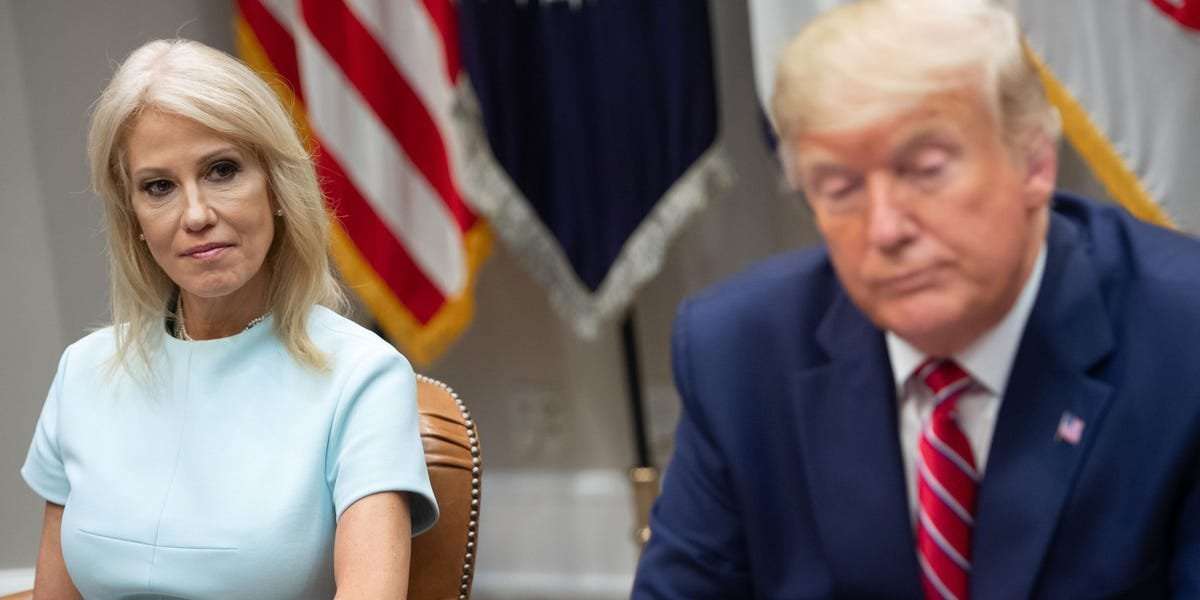 image for Kellyanne Conway says 2020 election should've been a 'blowout' for Trump but his campaign squandered a $1.6 billion war chest. Millions went into merchandise and Trump properties.