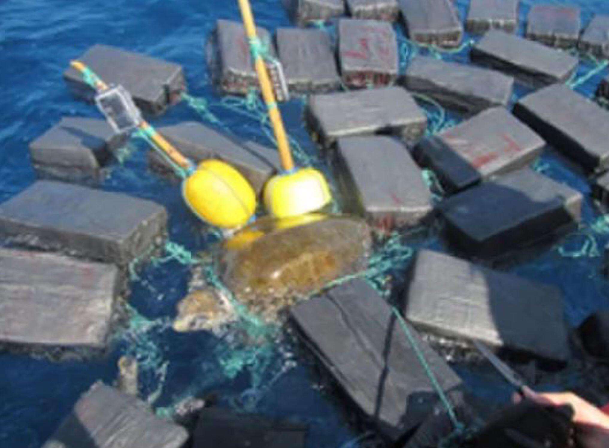 image showing This Turtle was Found by U.S. Coast Guard with $53 million Worth of Cocaine Attached to It.